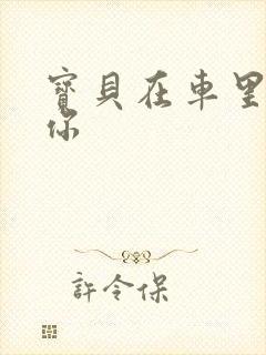 宝贝在车里想要你