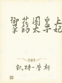 御花园皇上c有孕的太子妃