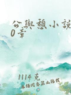 公与憩小说400章