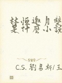 林恒邀月双胞胎是什么小说