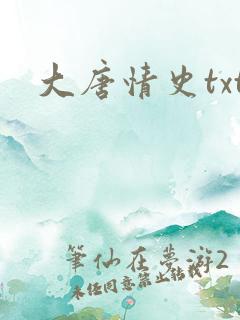 大唐情史txt