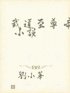 武道至尊 帝临 小说