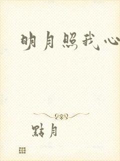 明月照我心小说