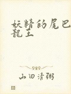 妖精的尾巴之幻龙王