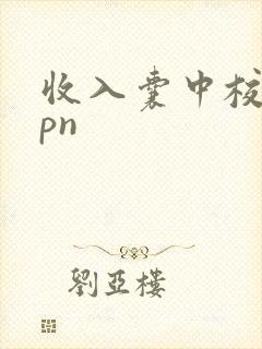 收入囊中校园hpn