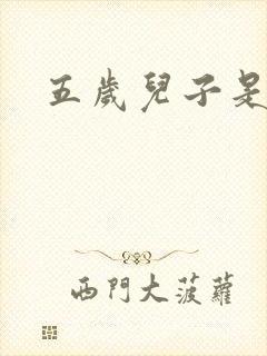 五岁儿子是相公