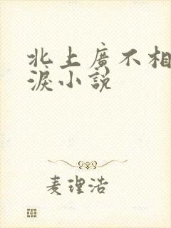 北上广不相信眼泪小说