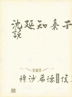 沈延知秦子卿小说