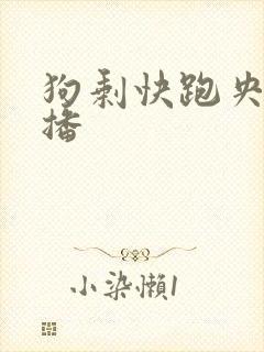 狗剩快跑央八首播