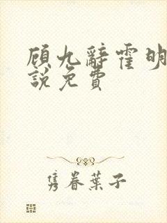 顾九辞霍明澈小说免费