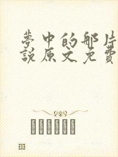 梦中的那片海小说原文免费阅读