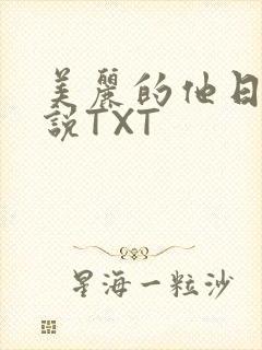美丽的他日剧小说TXT