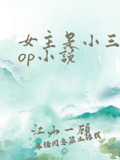 女主是小三的pop小说