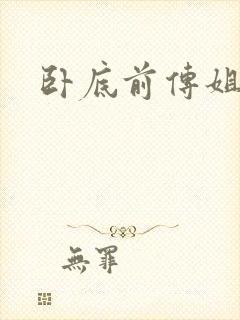 卧底前传姐妹篇