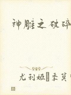 神雕之破碎之旅