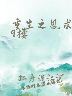 重生之凤求凰19楼