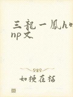 三龙一凤h啪肉np文