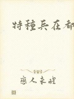 特种兵在都市