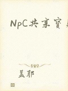 NpC共享宝贝