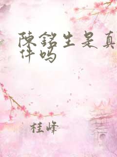 陈铭生是真实事件吗