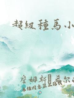 超级种马小说