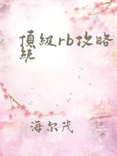 顶级rb攻略系统