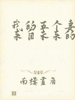 我的五个妻子和来自未来的孩子