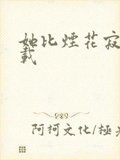 她比烟花寂寞下载