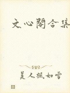 文心阁合集