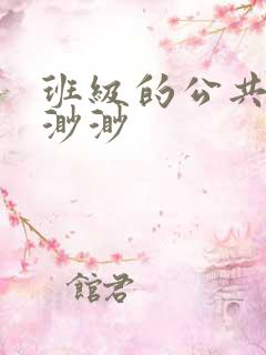 班级的公共玩具渺渺