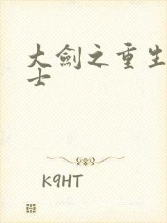 大剑之重生圣骑士