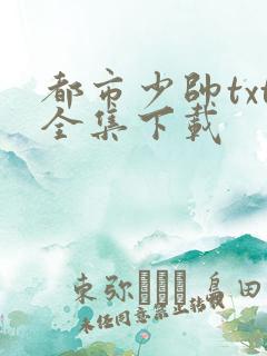 都市少帅txt全集下载