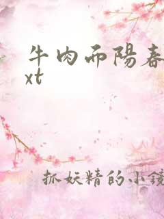 牛肉面阳春面txt