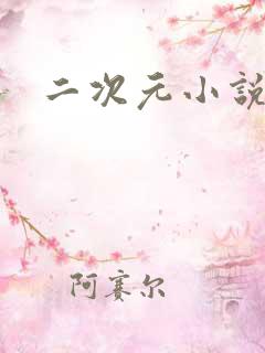 二次元小说网站