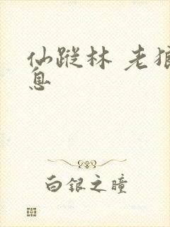 仙踪林 老狼信息