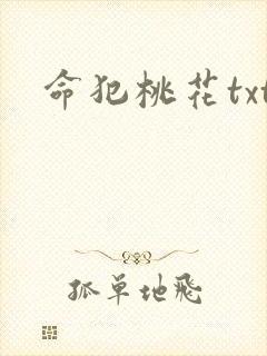 命犯桃花txt