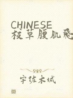 CHINESE校草腹肌飞机视频