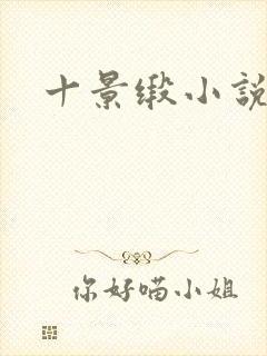 十景缎小说