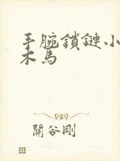 手腕锁链小黑屋木马