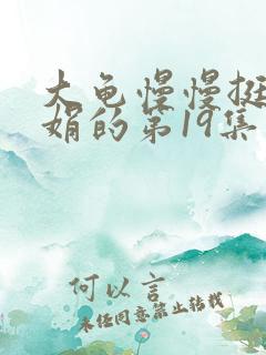 大龟慢慢挺进张娟的第19集