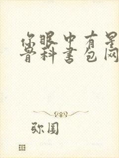 你眼中有星辰h骨科书包网