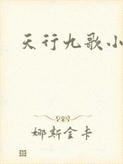 天行九歌小说