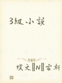 3级小说