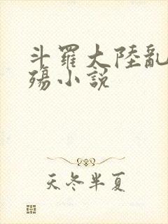 斗罗大陆乱世浮殇小说