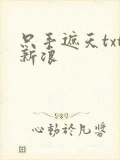 只手遮天txt新浪