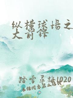 纵横球场之暴力大前锋