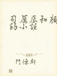 司厉辰和颜辞兮的小说