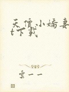 天价小娇妻txt下载