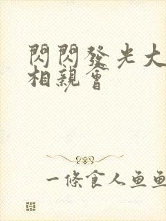 闪闪发光大团圆相亲会