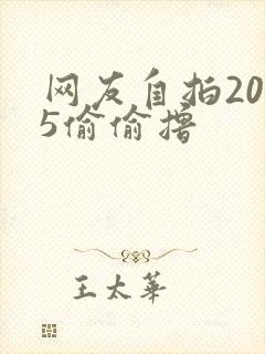 网友自拍2015偷偷撸